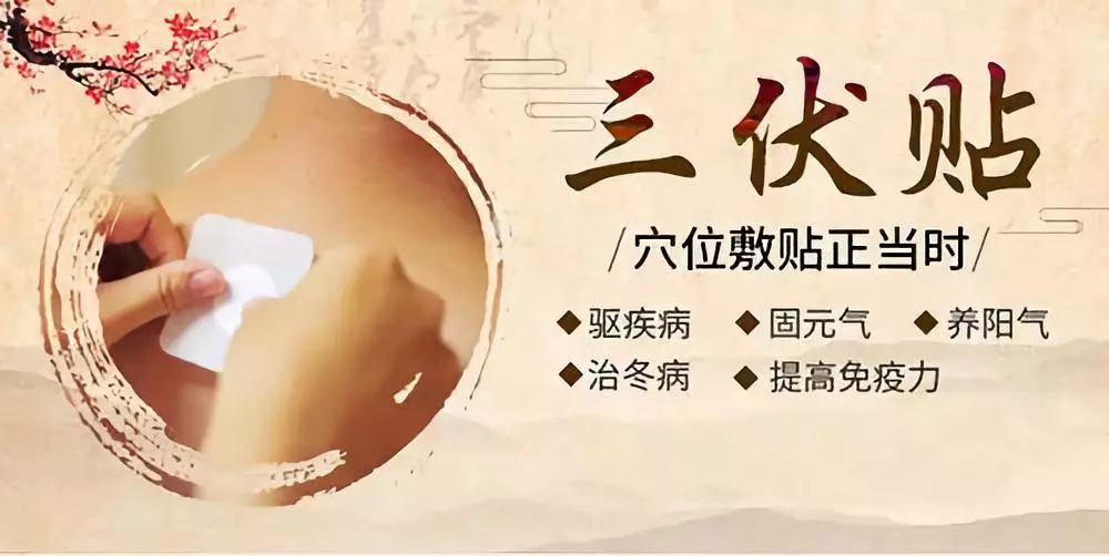 關(guān)于三伏貼，你了解多少呢？
